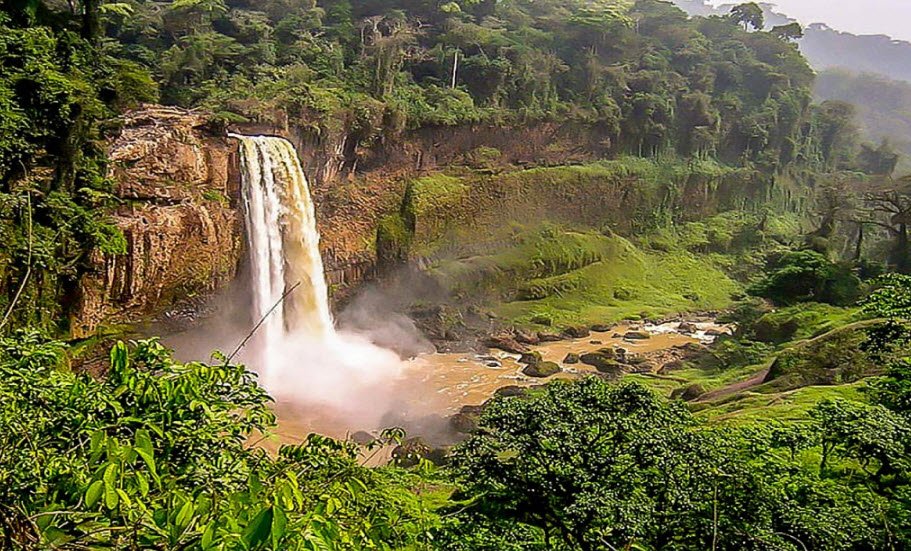 Korup National Park, Southwest Region (near Mundemba), Cameroon